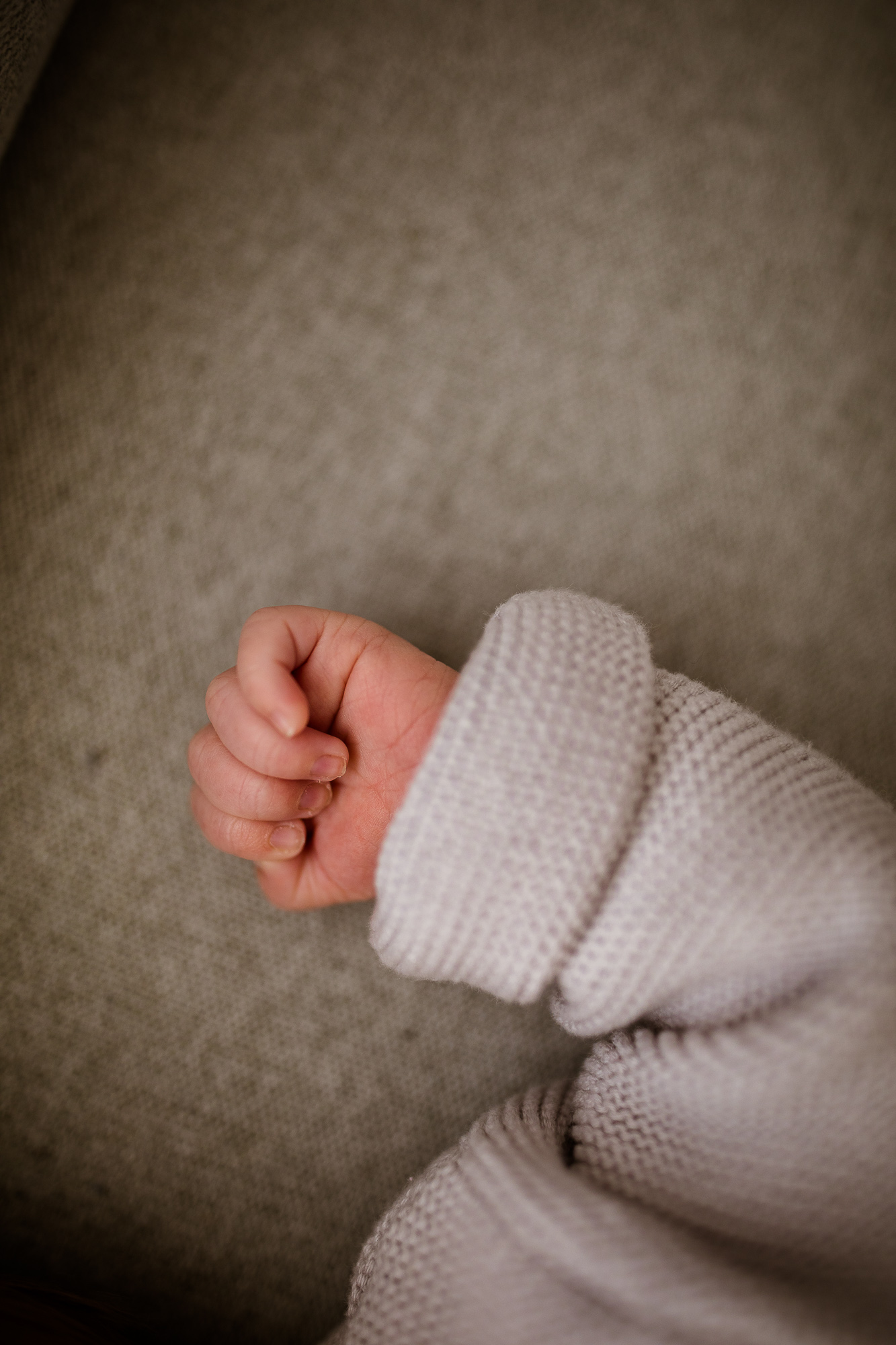 Export x3 5D4 6771 Familienfotoshooting 2019 Hefti